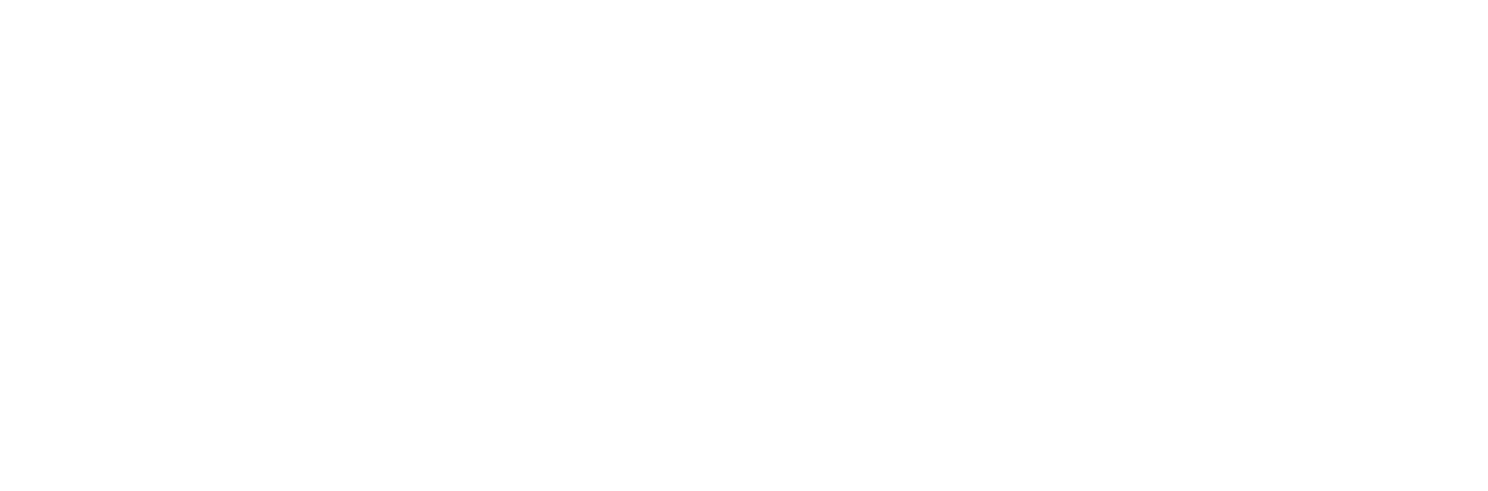ROISA TECH